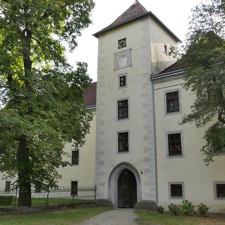 Schloss Gmuend グミュント エクステリア 写真